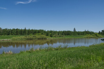 Fototapeta na wymiar Pylypow Wetlands on a Summer Day