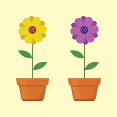 Two flowers in pots Vector illustration in flat style isolated on white background. yellow and purple flowers clip art