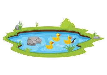 Gordijnen Three yellow ducks swimming in the pond vector illustration. Duck cartoon character © Yana