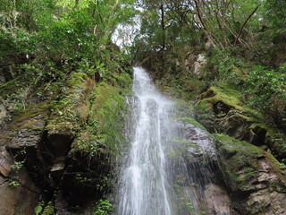 waterfall in the forest