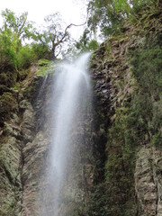 Obraz premium waterfall in the forest