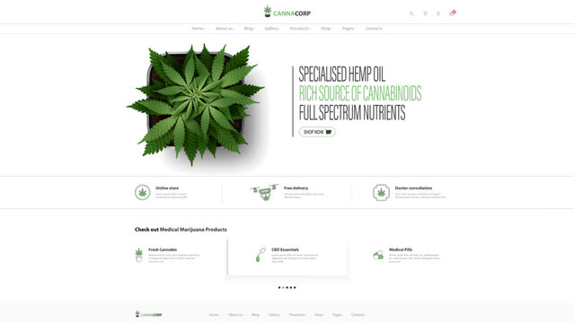 Website design template and interface elements, cannabis store