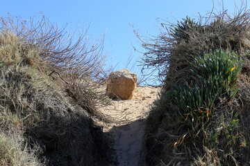 Stones in a city park on the Mediterranean coast
