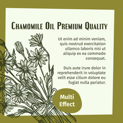 Chamomile oil premium quality multi effect banner