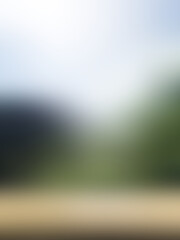 Beautiful, soft abstract background. natural background blurred.
vertical background