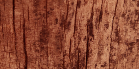 Obraz premium Abstract old Wooden background with spots, Grunge ancient wood texture with cracks, old wooden background for home decor, window, tables, chairs, doors and any graphics design.