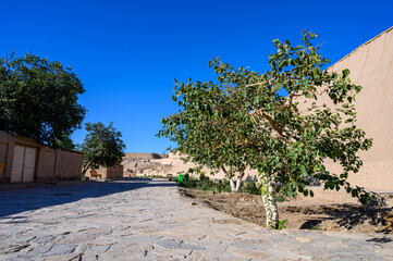 Ancient architecture of the Uzbek city of Khiva.
