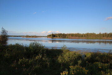 Obraz premium reflection in the water, Elk Island National Park, Alberta