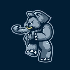 Elephant Kung Fu Character Design
