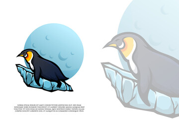Penguin Character Design 