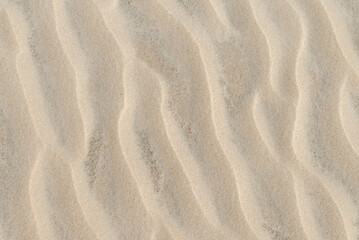 Sand Closeup