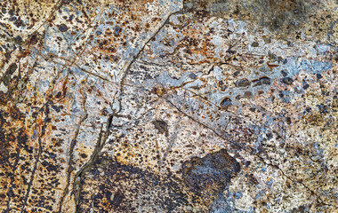 Detail of a cracked flat rock surface by the road near Dayville, Oregon, USA