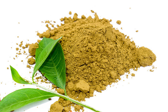 Mehendi or henna leaves and powder heap isolated on white background, Lawsonia inermis powder, Herbs for hair.