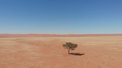 Sossusvlei, Naukluft National Park, Namibia. (aerial photography)