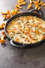 Tasty creamy chanterelle sauce in a pan on a table, french cuisine. Vertical