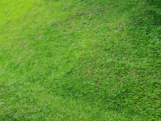 Gradient green lawn, hills of mountains