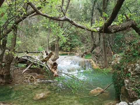 Waterfall of Sillans in Provence. The waterfall down into turquoise and emarald colored pools and then sinuous flows through numerous mini waterfalls in a jungle landscape