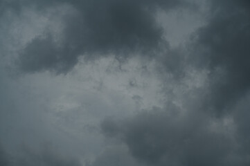 Obraz premium 曇り空でもよいではないですか？