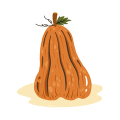 hand draw ripe yellow pumpkin on white background