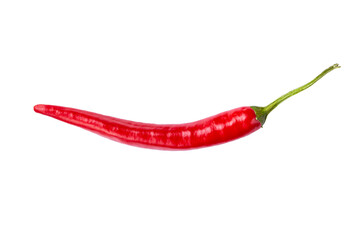 Single chili pepper isolated on white background. Chili hot pepper whole.