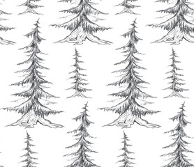 Vector seamless pattern with pencil sketch fir trees on a white background. Rustic forest background.
