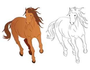 hand-drawn illustration of a running horse