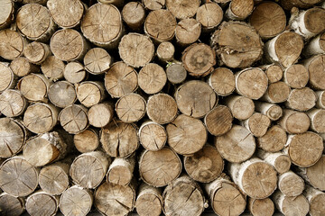 Firewood background. Sawn trunks and logs of needles and birch for making a fire and decor.