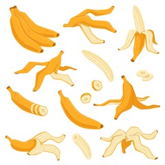 Obraz premium Cartoon banana. Yellow tropical fruit, unpeeled whole and pieces, bunch and peel, sweet flavour exotic natural raw food, sweet carbohydrate snack, tasty meal nowaday vector isolated set
