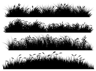 grass bush silhouette