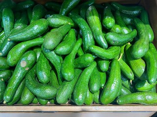 Close-up of delicious fresh avocados on display in supermarket trays. Green avocado texture 