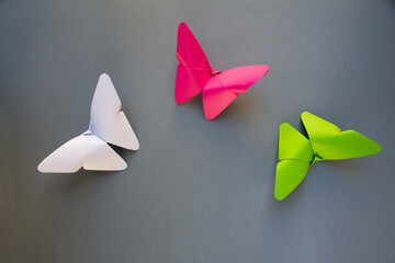 Green, pink and white paper butterfly origami isolated on grey background