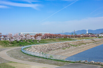 大阪府狭山池公園の春の風景