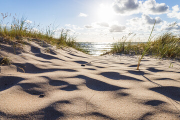 Baltic sea landscape with sandy beach and dunes with grass