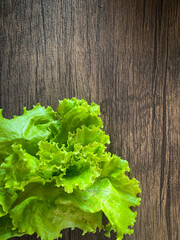 Fresh Lettuce on the wooden background and space for text