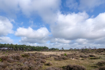 Leuvenumse bossen, Hulshortserzand