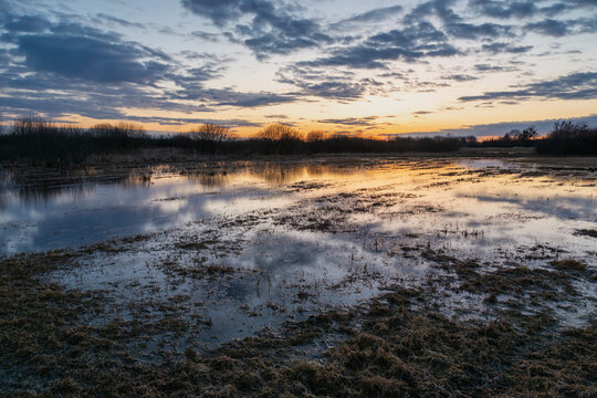 Water in the meadow and sky after sunset