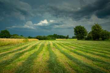 Cut grass in the meadow and cloudy skies