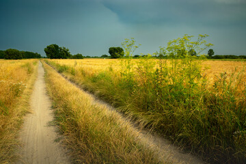 A dirt road through fields and cloudy skies