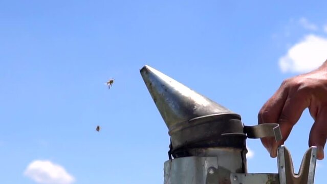 beekeepers harvesting honey from the hive