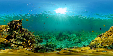 Tropische Fischkorallen Meeresriff. Unterwassermeer tropisches Leben. Tropische Unterwasserfische. Unterwasserfischriff marine. Tropisch bunte Unterwasserwelt. Philippinen. 360-Panorama-VR
