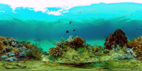 Tropical sea and coral reef. Underwater Fish and Coral Garden. Underwater sea fish. Tropical reef...