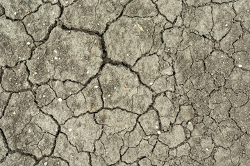 Cracked dry gray soil