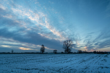 Snow-covered field and cool clouds in the evening