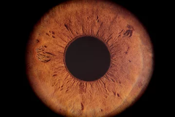 Fotobehang brown eye iris © Lorant