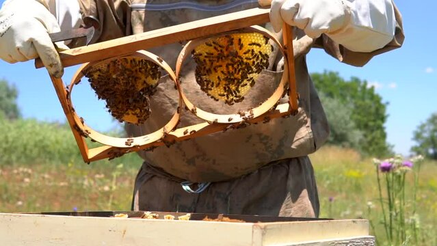 beekeepers harvesting honey from the hive