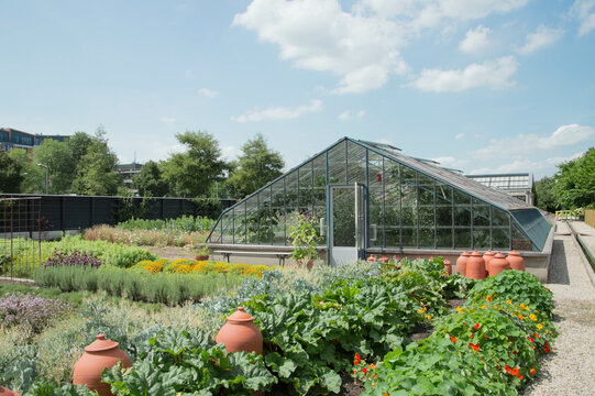 Greenhouse With Flowers And Plants