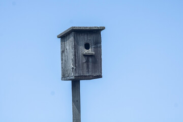 Birdhouse against the blue sky
Скворечник на фоне голубого неба