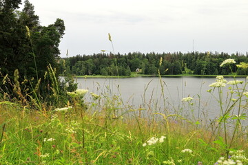 landscape with lake