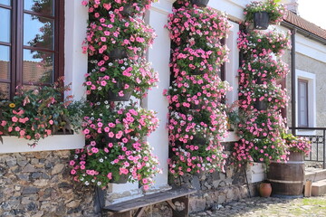 Fototapeta na wymiar window with flowers in the garden