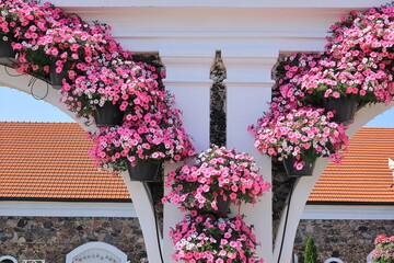 flowers on the wall